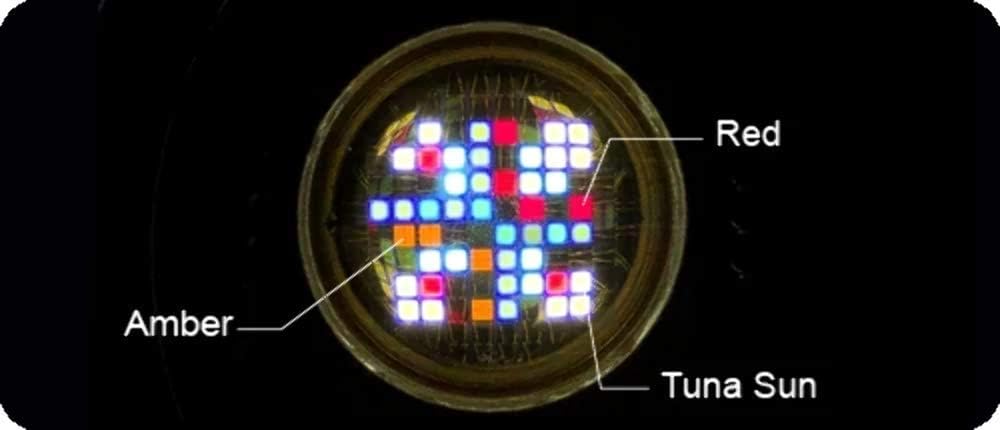 kessil a360 tuna sun