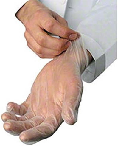 Powder-Free Disposable Vinyl Gloves, Large, Clear, 100/Box