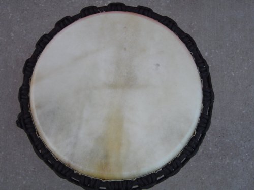 GORGEOUS! 24" X 14" Djembe Deep Carved Hand Drum Bongo ELEPHANT - Model # 60m18