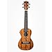 Kala KA-CGE Gloss Mahogany Concert Ukulele with Electronics Natural