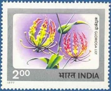 Amazon Com Sams Shopping Indian Flowers Gloriosa Lily Flower Gloriosa Lily Horticulture Botany Rs 2 Indian Stamp Office Products