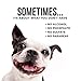 Natural Rapport Dog & Pet Tear Stain Remover - The Only Eye Tear Stain Remover Dogs Need - Dog and Cat Tears Stain Removing Treatment (8 fl oz.)