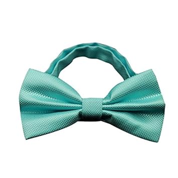 Amazon Com Gifts For Men Charberry Mens Bow Tie Butterfly