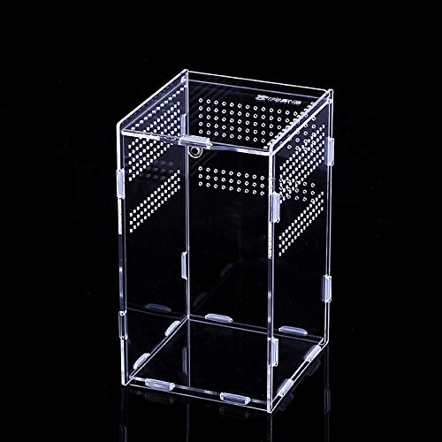 Transparent Reptile Terrarium Box, Insect Feeding Box, Climbing pet terrarium, acrylic terrarium, Portable Reptile Habitat for Spide, Lizard, Scorpion, Beetle, Crickets, Mantis, Geckos (15*15*25cm)