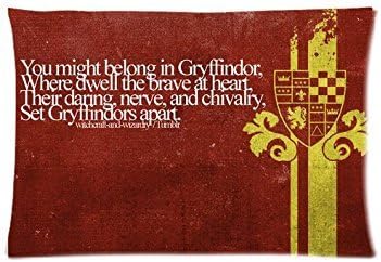Every New Day Harry Potter Gryffindor Unique Custom Zippered Pillow Cases 20x30 inches(50x75cm) (Two sides)