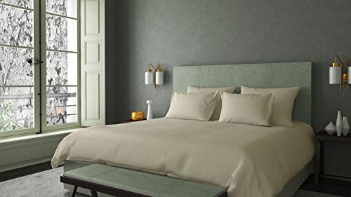 AMERICA EMPORIUM Genuine SPA LIKE FEEL 100% EGYPTIAN Quality Cotton Italian Finish MADE IN USA Sheet Set 800TC Fits Upto 19 Inches Deep Pocket Solid (Queen, Ivory)