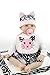 SanyDoll Reborn Baby Doll Soft Silicone 22inch 55cm Magnetic Lovely Lifelike Cute Lovely Cat Little Girl Toy