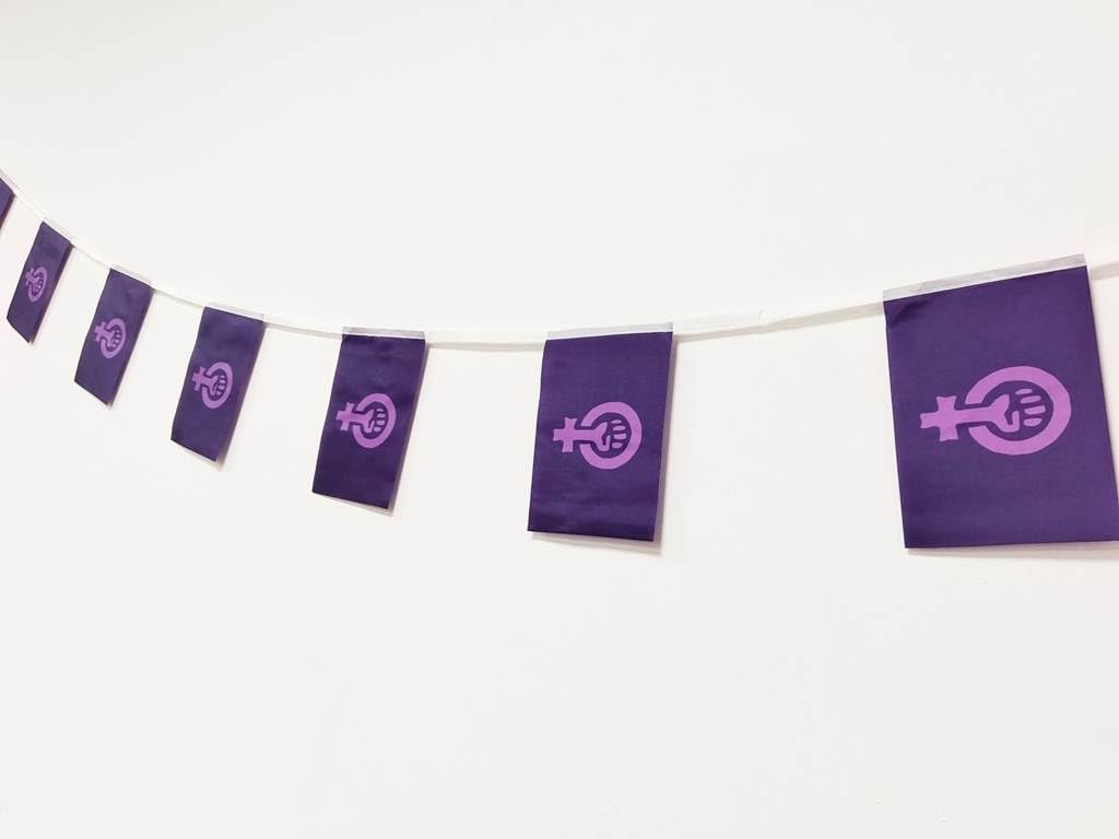 Pandiui23 Feminist Flag 40 Pack, Purple, 14 x 21 cm, Wall Mount, Unisex, Various Occasions, Patriotic, Banner