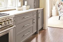 Amerock | Cabinet Pull | Polished Nickel/Black