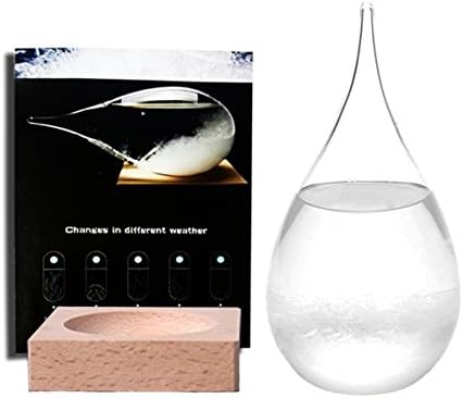 Time Cat Creative Stylish Storm Glass weather predictor bottles Forecast bottles Barometer weather glass -DIY Carving commemorative edition Decorative Bottles Crafts (Small)