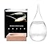 Time Cat Creative Stylish Storm Glass weather predictor bottles Forecast bottles Barometer weather glass -DIY Carving commemorative edition Decorative Bottles Crafts (Small)