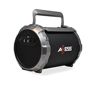 axess speaker price