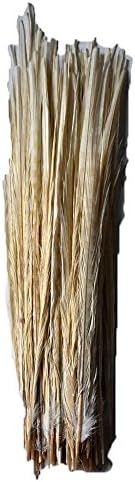 Everyshine 36 Pcs 18-20 inches pheasant tail feather (White)