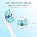 Replacement Toothbrush Heads for Philips Sonicare 2 Series Plaque Control, HX6211, fit ProtectiveClean, DiamondClean, Gum Health, HealthyWhite, HX9028 Brush Head by DeBizz