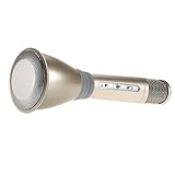 Karaoke Microphone Wireless, FeBite Handheld Singing Machine Condenser Magic Mic Microphones with Bluetooth Speaker Compatible with iPhone/ iPad/ iPod/ Samsung Sony HTC Lumia Smartphones Tablet PC