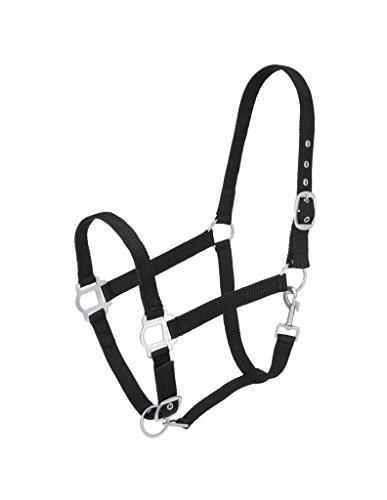 Tough 1 Nylon Halter with Satin Hardware, Black, Horse