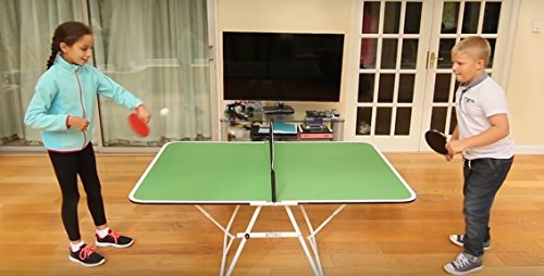 Butterfly Family Table Tennis Table