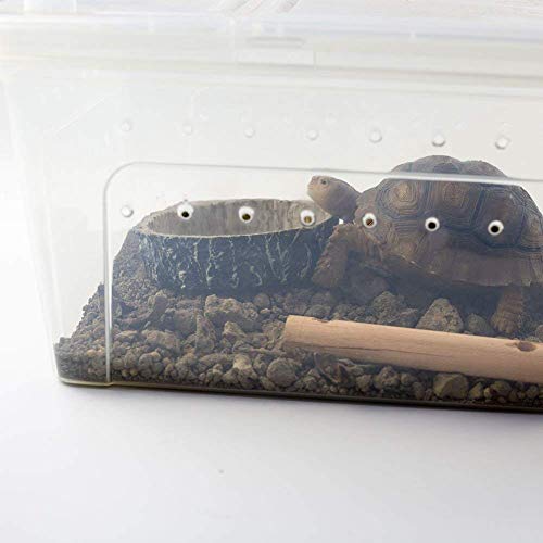 AROYEL Reptile Bowl Food Water Dish Bearded Dragon Gecko Meal Worm Feeder, Resin Feeding Food Water Dish Dispenser Snack Holder for Tortoise Spider Lizard - Thumbnail 6