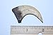 Fossils, Meteorites, & More Velociraptor Dinosaur Claw Replica - (NOT Real Fossil) 2 inch #10244 2o