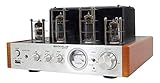 Rockville BluTube WD 70W Tube Amplifier Home