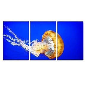 Orange Jellyfish in Ocean - Canvas Art Wall Art - 16"x24"x3 Panels