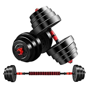LHR Adjustable Dumbbells Set Home Fitness Dumbbell Combination Free Weights 2-in-1 Set Adjustable Weight to 88Lbs for Home Gym Work Out Training Men And Women(Pair)(Size:33lbs)