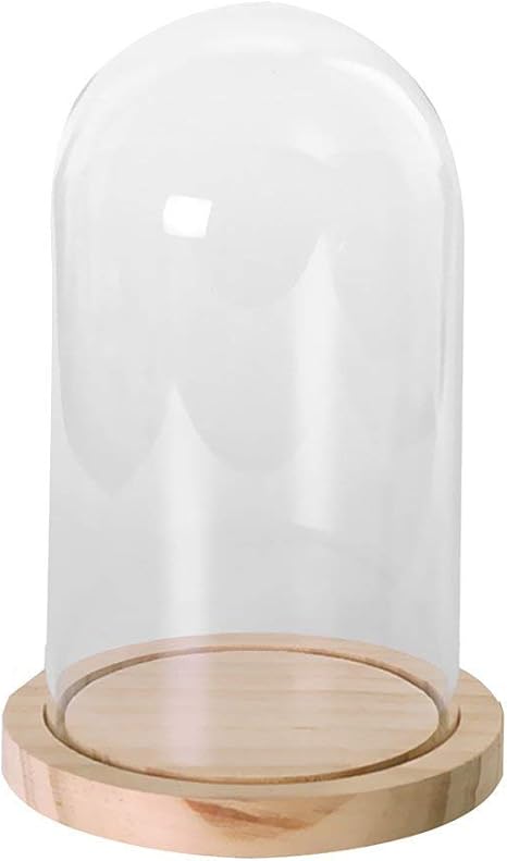 Glasglocke Mit Holzboden 9x12cm - Display Für Sammlerstücke & Deko