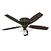 Hunter Fan 52 inch Bronze Traditional Ceiling Fan with Swirled Marble Glass Light Kit and Remote Control (Renewed) (Without Remote)