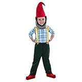 Gnome Boy Toddler Child Costume