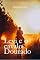 Livro Levi e o Cavalo Dourado