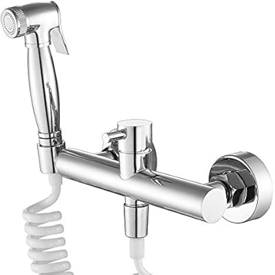 Toilet Shower Blow Fed Spray Nozzle Bidet Faucet Versatile
