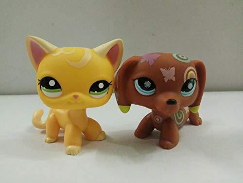 2pcs/Lot Littlest Pet Shop LPS#2194#1010 Short Hair Bangladesh Ubuy