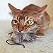 Frenzy Mouse Refill - Fits Da Bird, Cat Catcher and Flying Frenzy