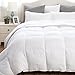 Bedsure King Comforter Duvet Insert with Corner Ties-Quilted Down Alternative Comforter Box Stitching Design White 102