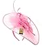 C.C Cocktail Fashion Sinamay Fascinator Hat Feather & Flower Design S102450, Pink