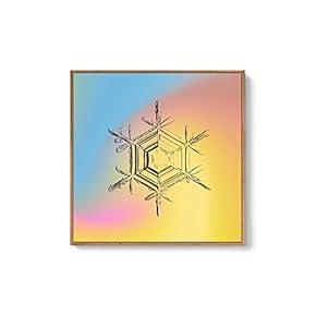 Framed Canvas Wall Art for Living Room, Bedroom Snowflake Theme Canvas Prints for Home Decoration Ready to Hang - 16x16 inches