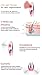 LED-VRANG Korean Skin Care Facial Massager Lifting Wrinkle Care LED Light Therapy Vibration Auto Sensor ON/Off (Pink)