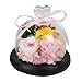 SANRAN Eternal Rose- Preserved Flower Rose Handmade Fresh Flower Rose with Beautiful Creative Heart Design Gift for Valentine's Day Mother's Day Christmas Anniversary Birthday Thanksgiving