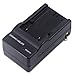 Battery Charger for JVC BN-VF808, BN-VF808U, BN-VF815, BN-VF815U, BN-VF823, BN-VF823U and JVC MiniDV, Everio GZ-MG330 GZ-MG330AU GZ-MG330RU GZ-MG330HU HD Camcorder