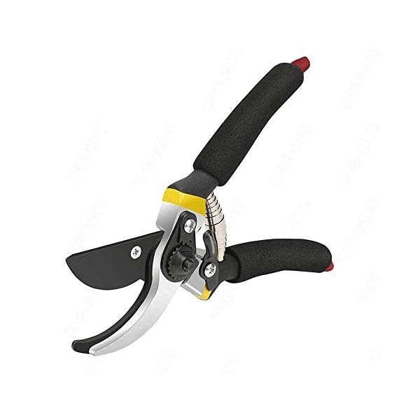 HEMIZA Gardening Tools Garden Shears Sharp Cutter Pruners Scissor, with Safety Lock Pruning Seeds with Grip-Handle…