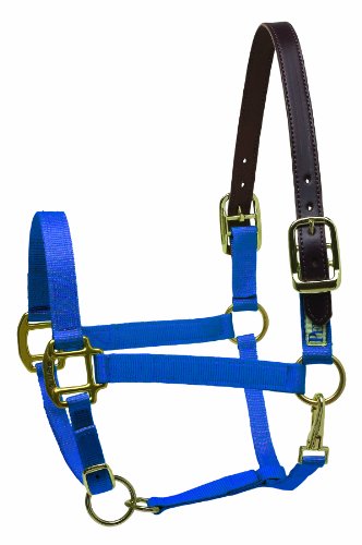 Perri's Premium Nylon Safety Halter, Horse, Royal Blue