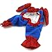 Alfie Pet - Superhero Costume Spiderman - Size: XS