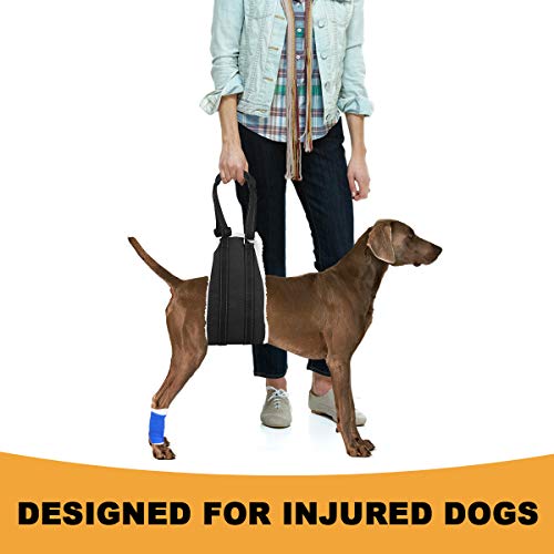 Dog Sling For Back Legs Petsmart at Barbara McKee blog