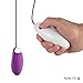 ROWAWA Bullet Vibrator Sex Toys for Women Multi-Speed Egg Vibrator Waterproof Adult Toys Remote Vibrator (Purple)