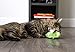SmartyKat Cruzin' Critter Electronic Motion Cat Toy, Battery Powered - Green, One Size