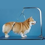 No-Sit Haunch Holder Dog Grooming Restraint Small Medium Dogs (Colors May Vary) (Misc.)