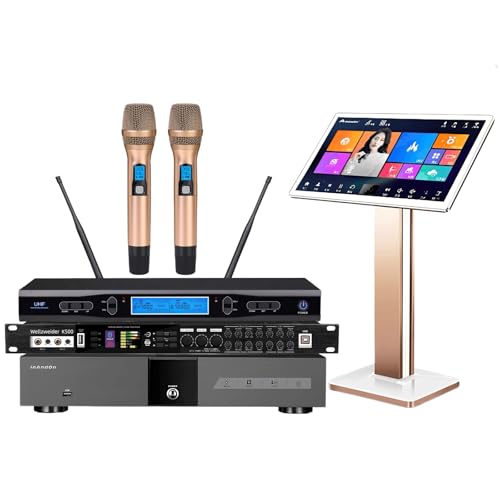 Wellzweider Professional Karaoke Player