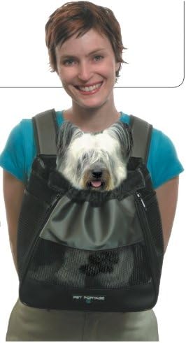 house cats that dont shed