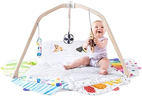 Lovevery The Play Gym,One Size: Amazon 