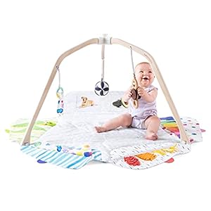 The Play Gym by Lovevery | Stage-Based Developmental Activity Gym & Play Mat for Baby to Toddler, 1 Count (Pack of 1)